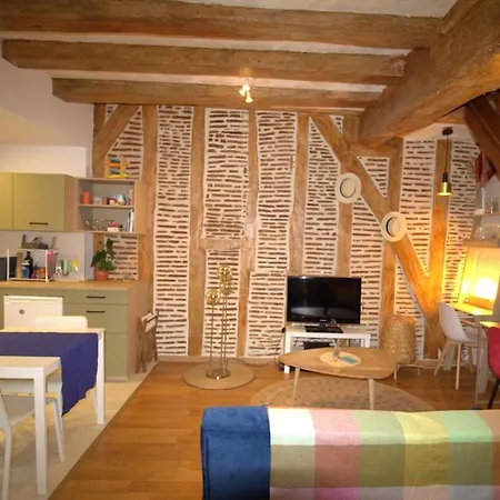 Le Colbert Duplex En Plein Coeur Du Vieux Tours