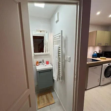 Le Colbert Duplex En Plein Coeur Du Vieux * Tours